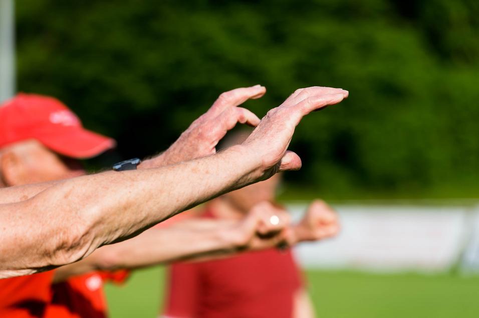 Nahaufnahme von mehreren Händen, die in verschiedenen Positionen in einem Trainingsumfeld gestreckt werden.